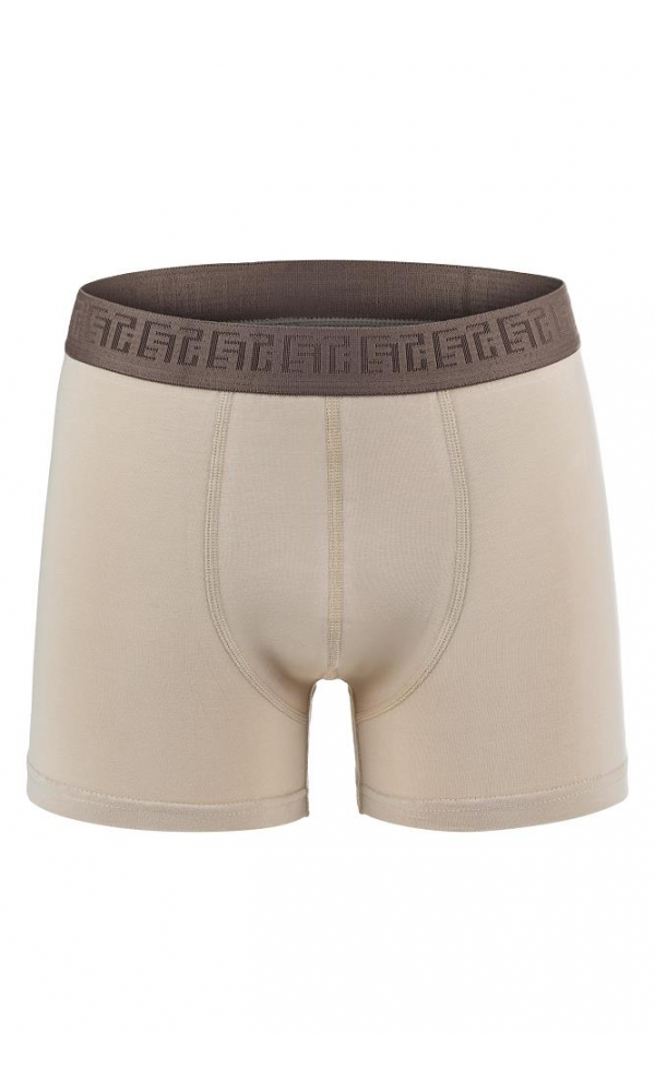 EFSİ 3019 ERKEK BOXER VİZON