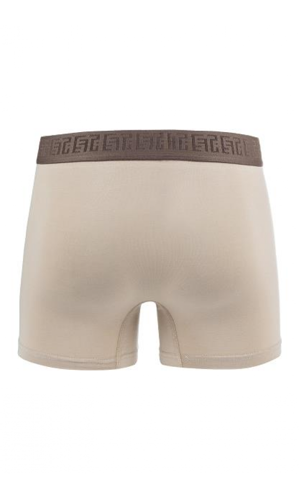 EFSİ 3019 ERKEK BOXER VİZON