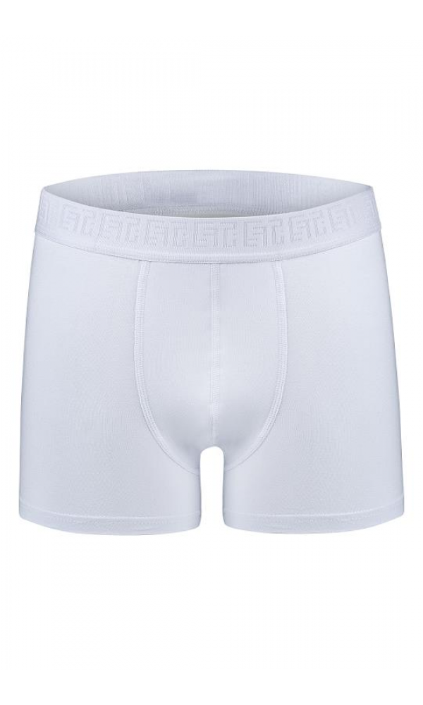 EFSİ 3019 ERKEK BOXER VİZON