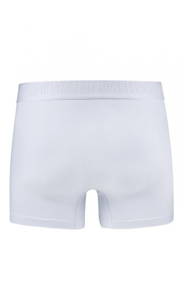 EFSİ 3019 ERKEK BOXER VİZON