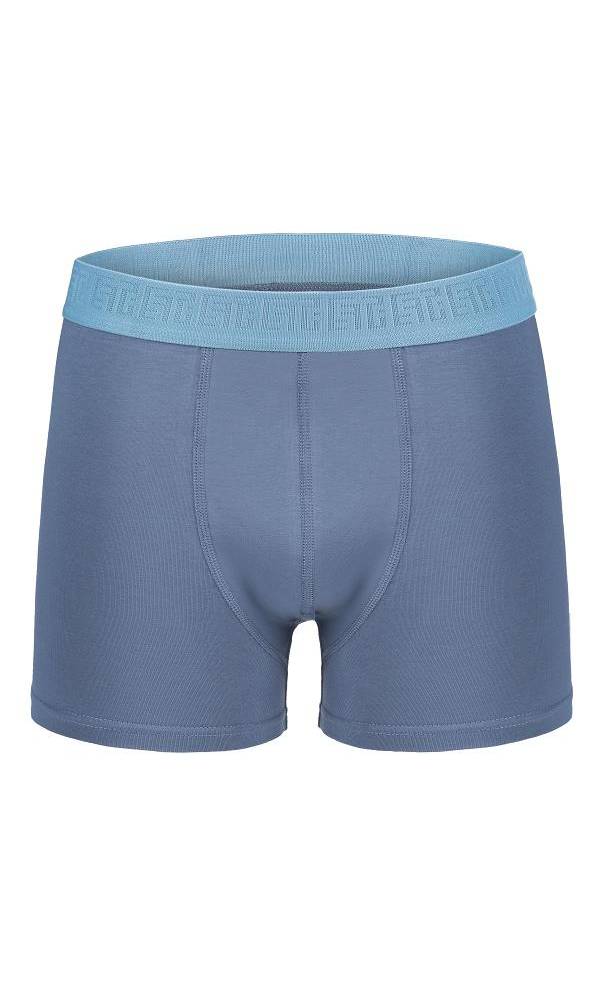 EFSİ 3019 ERKEK BOXER VİZON