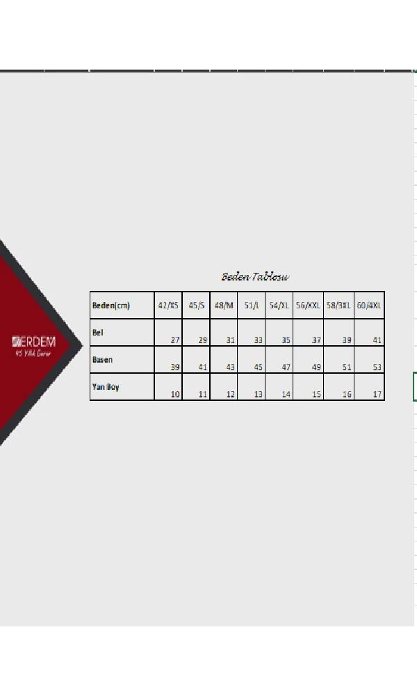 ERDEM 7104 BAYAN KAŞKORSE KÜLOT SİYAH