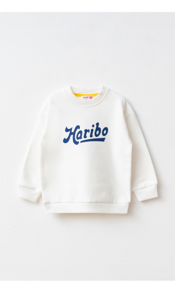 HARİBO SW 304 ÇOCUK SWEATSHİRT Lila