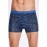 İLKE 1601  ERKEK LİCRALI BOXER ASORTİ
