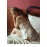 NIGHTLIGHT 3379 FANTEZİ GECELİK SİYAH