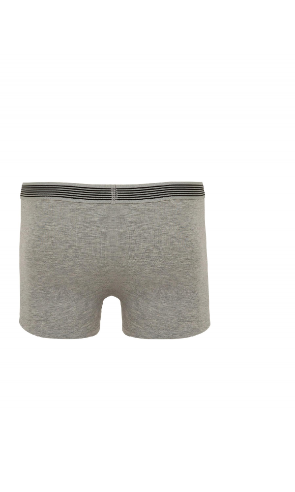 PİERRE CARDİN 395 ERKEK 3LÜ BOXER KARIŞIK