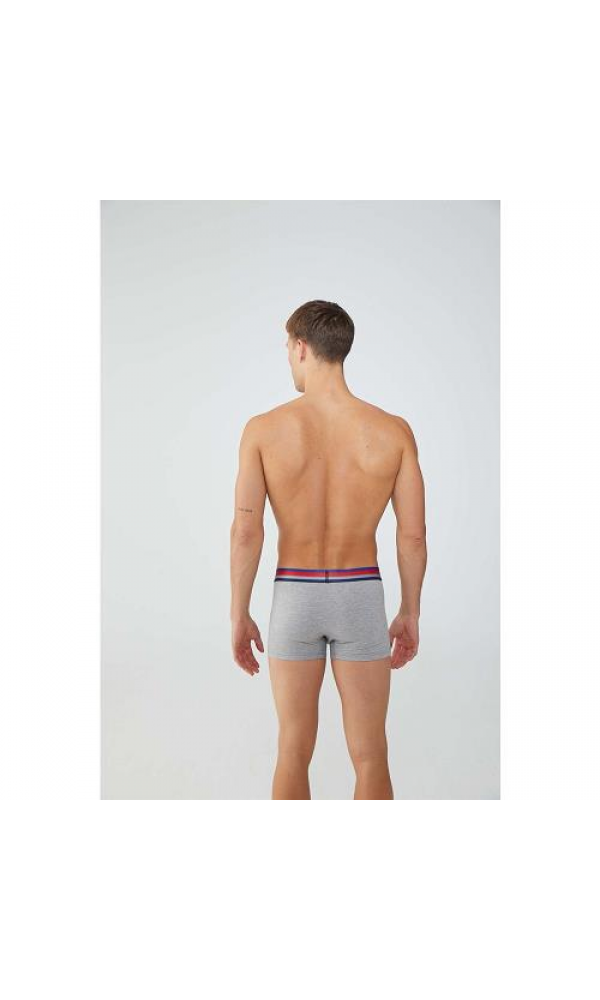 US. POLO 80475 ERKEK 2 Lİ BOXER GRİ