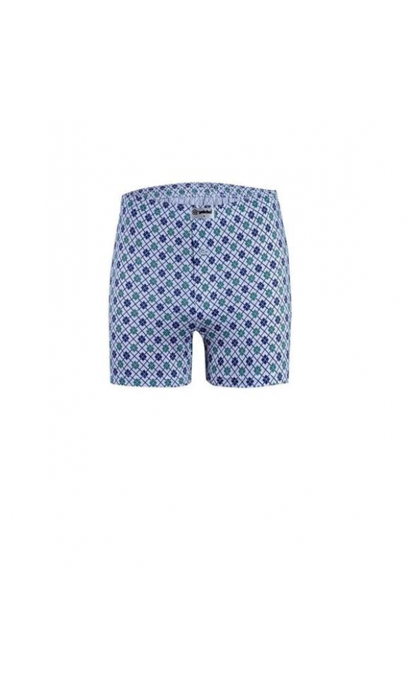 YILDIZ ERKEK PENYE BOXER 035 std